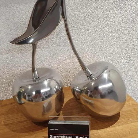 Gaestehaus Sonja Penzion Rust